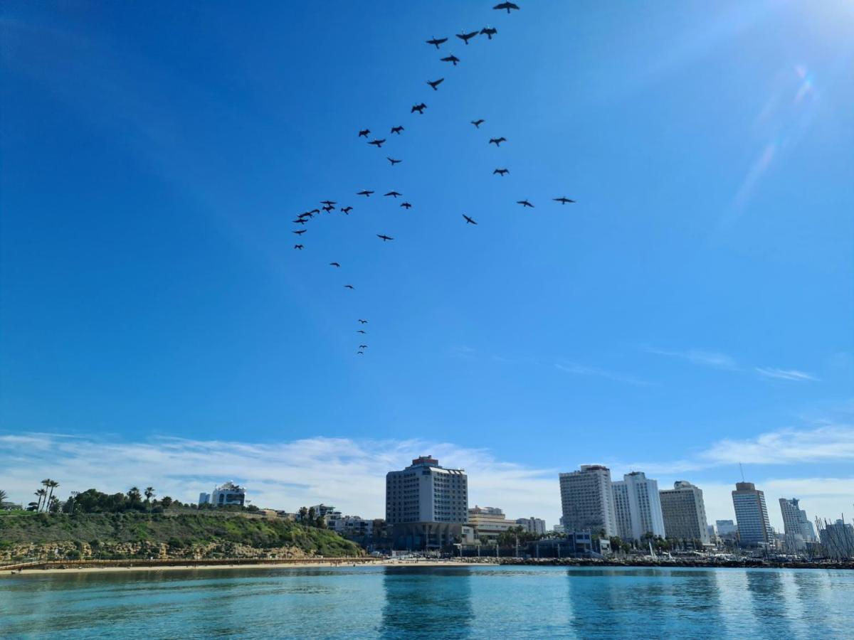 Lapin 9 - By Beach Apartments Tlv Tel Awiw Zewnętrze zdjęcie